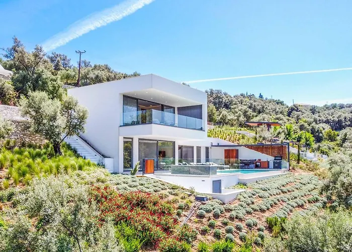 Above The Blue Willa *